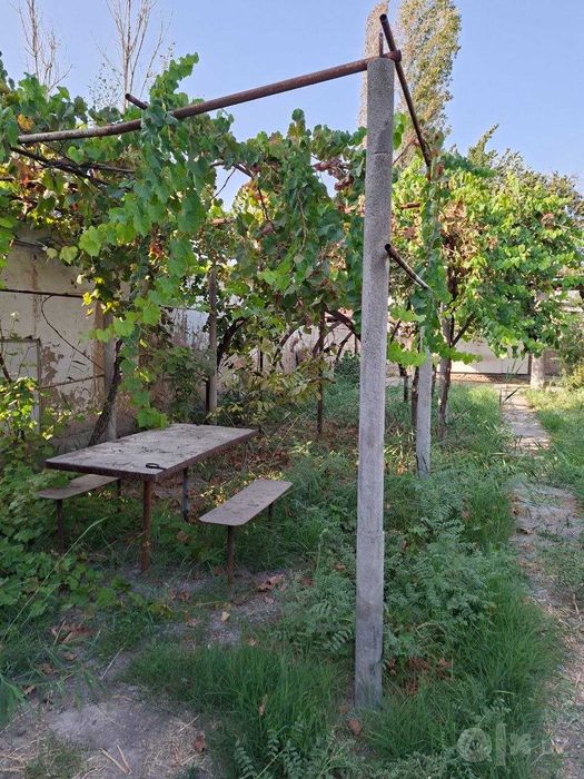 Дача 6 соток, дом 92 м², Зангиата, 14 000 $/сотка