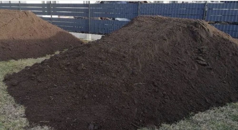 Pamant negru vegetal