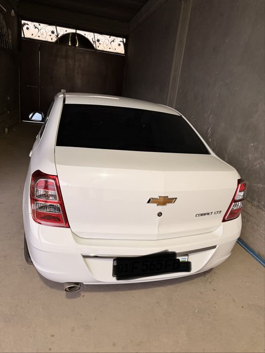 Arenda Cobalt 2025 4 poz