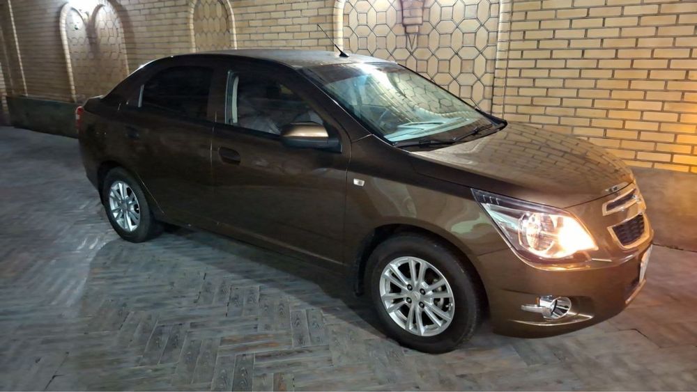 Cobalt 2024 zeus xolati ideal