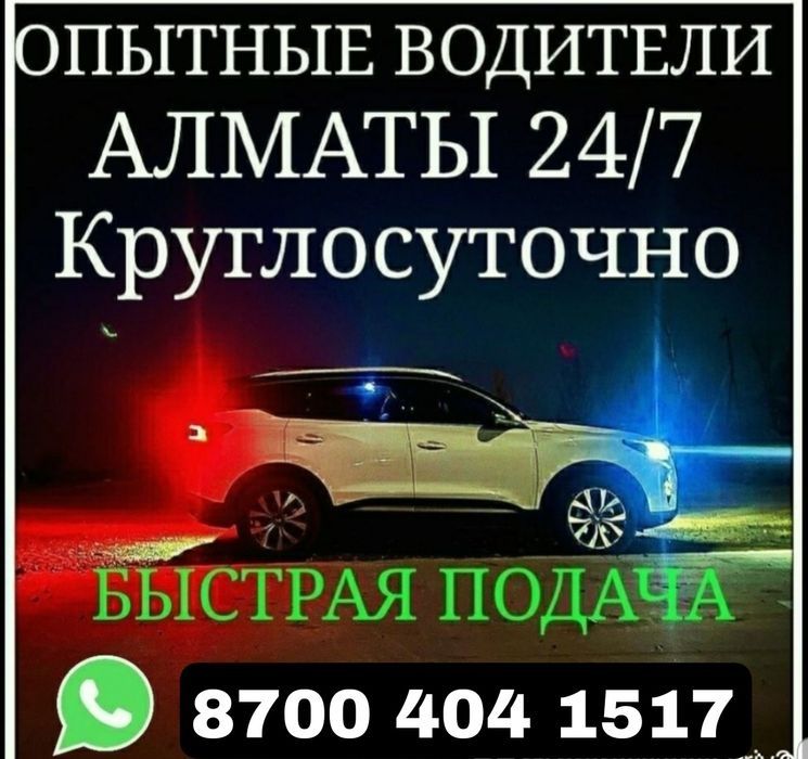Трезвый водитель