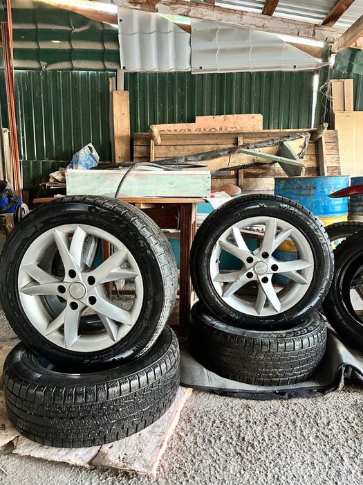 Донгелек жаксы жагдайда