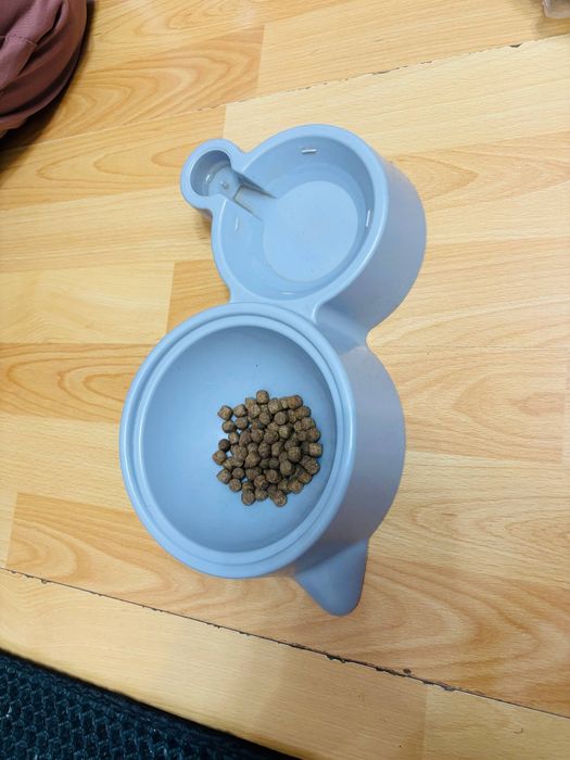 Продам набор для котёнка/кота