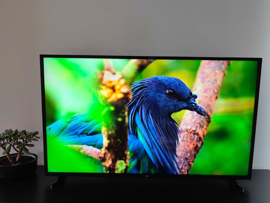 LG LED 126 cm Smart 4K Ultra HD