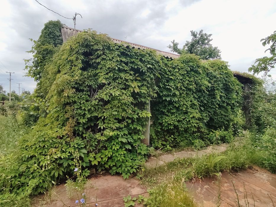 Продажа дачного участка
