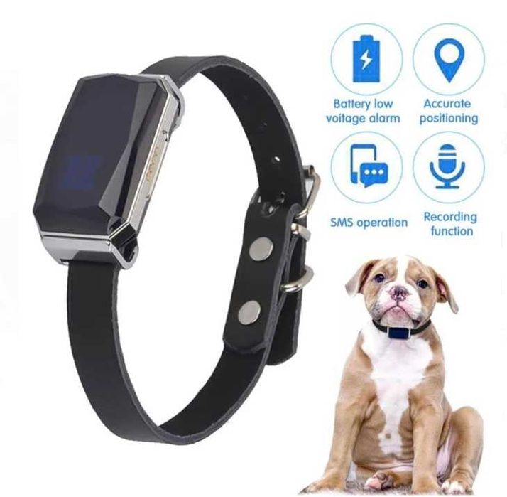 GPS тракер  G12Р за Куче