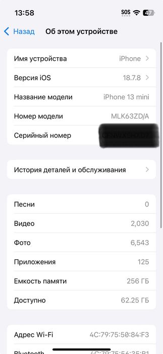 iPhone 13 mini 256 GB