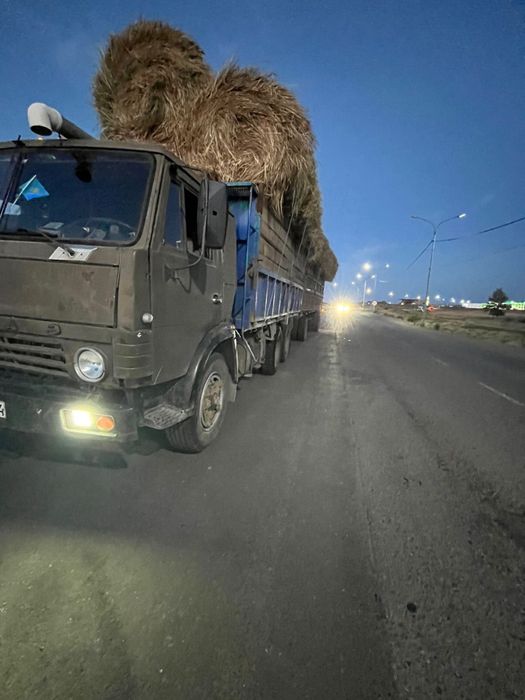 Услуги грузоперевозоки