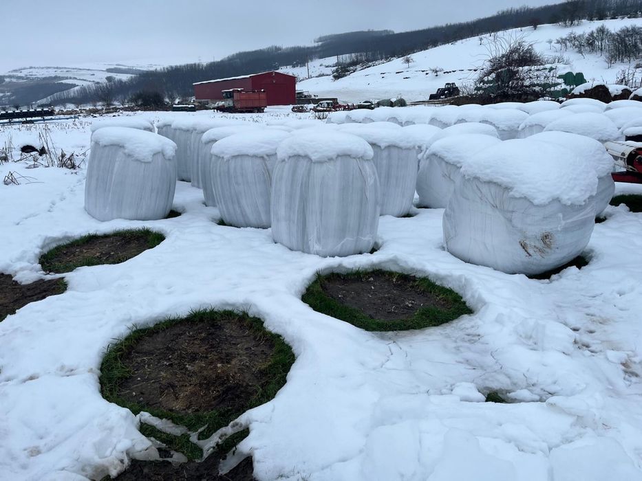 Vand baloti de paie ,lucerna 300 lei ,fân 200 lei ,infoliati lucerna