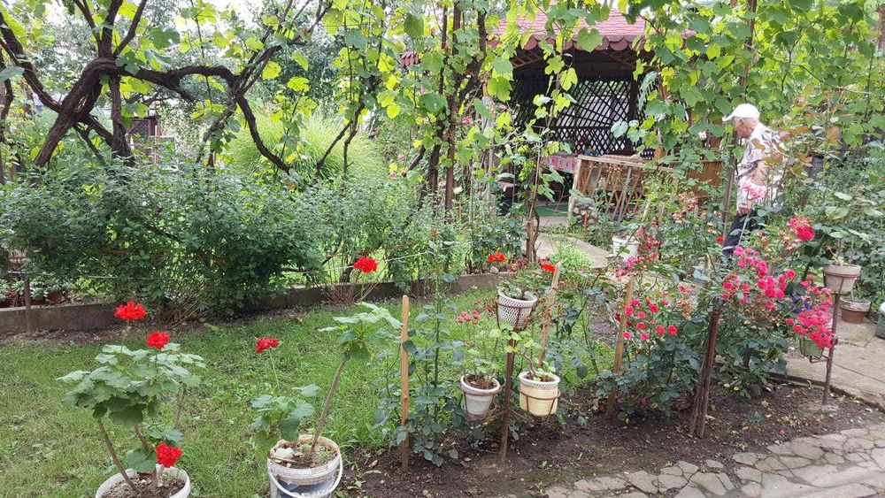 Casă mare zona centrală Aluniș