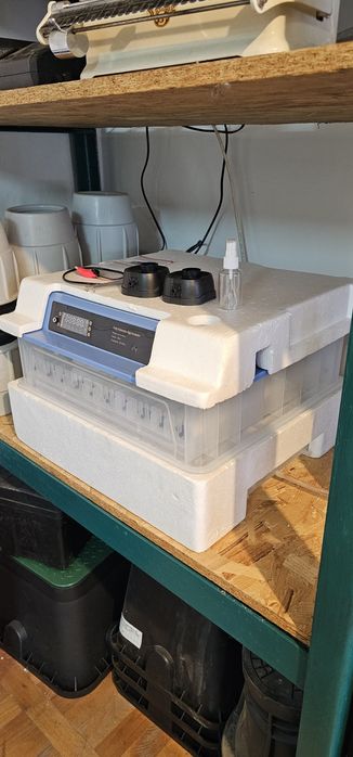 Incubator ouă 108 buc