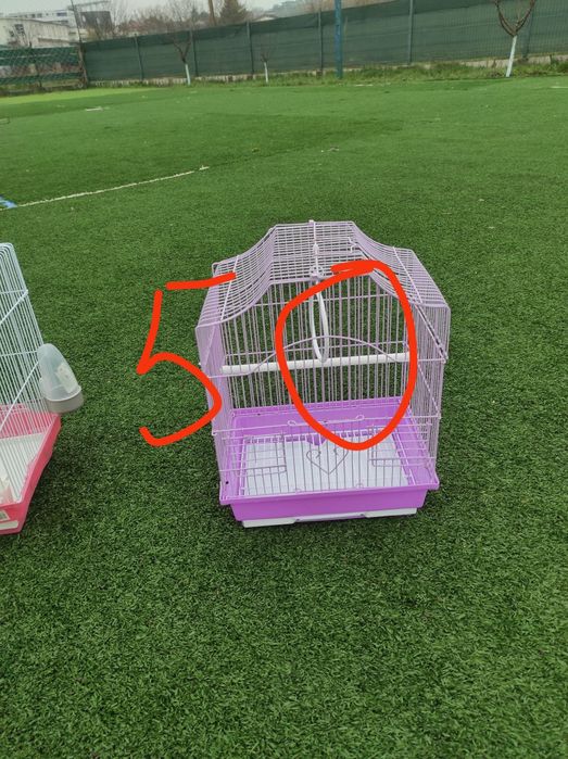 Vând cuști în Iași