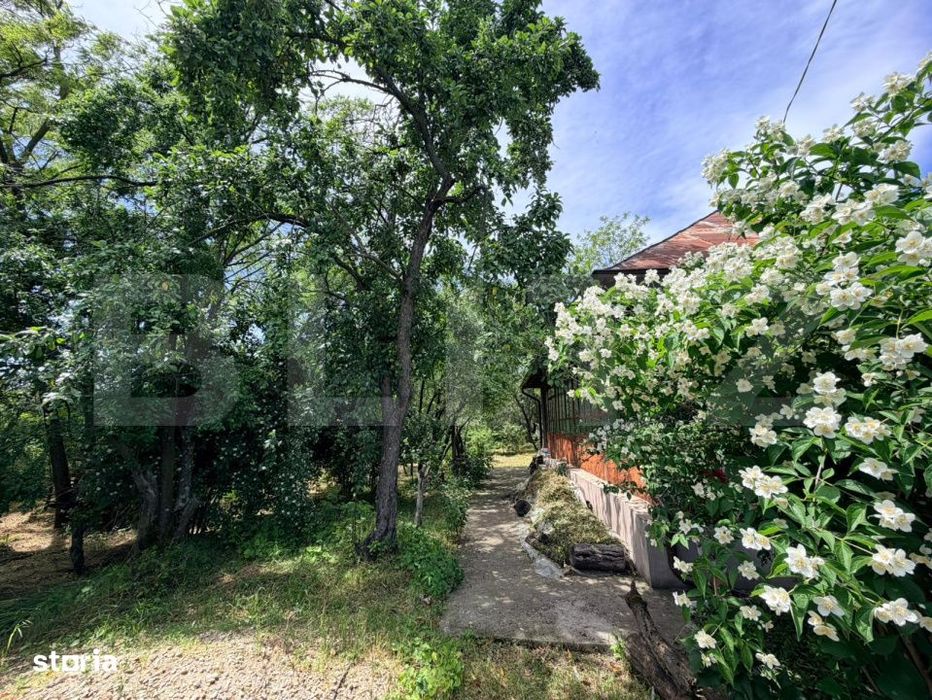 Casa cu teren mare si mult spatiu verde in Satul Motoci, Comuna Mischi