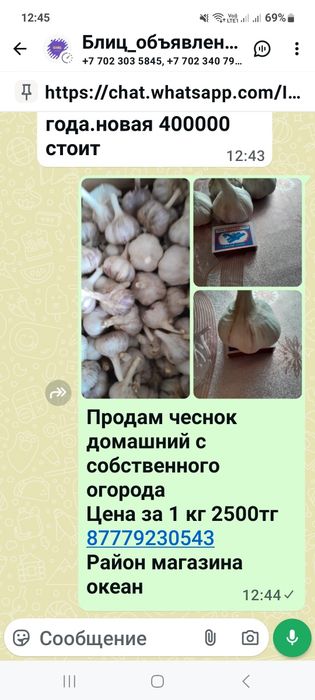 Продам чеснок домашний