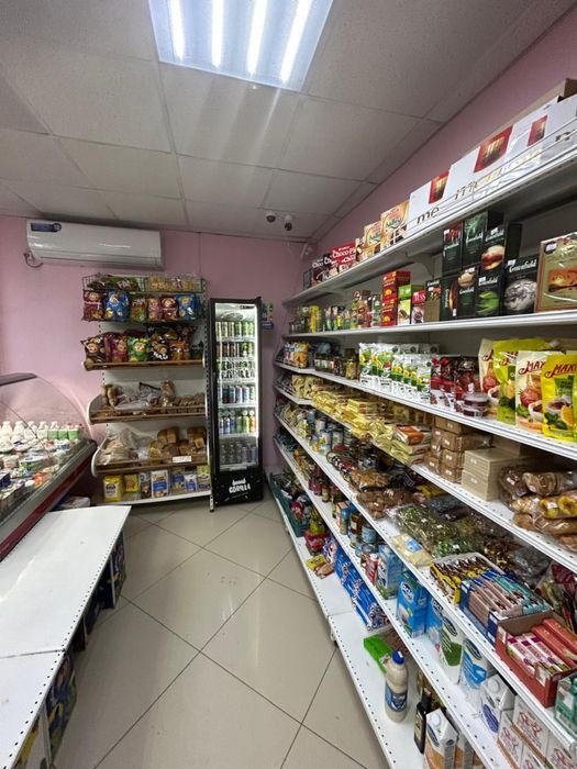 Действующий бизнес