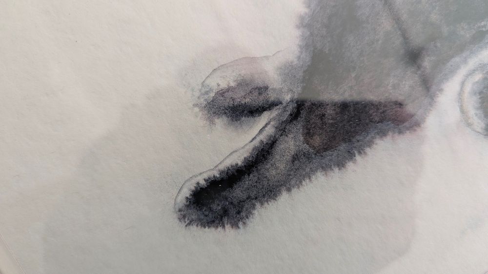 Невероятен Акварел, пухкава котка, изкуство, картина, оригинал, коте