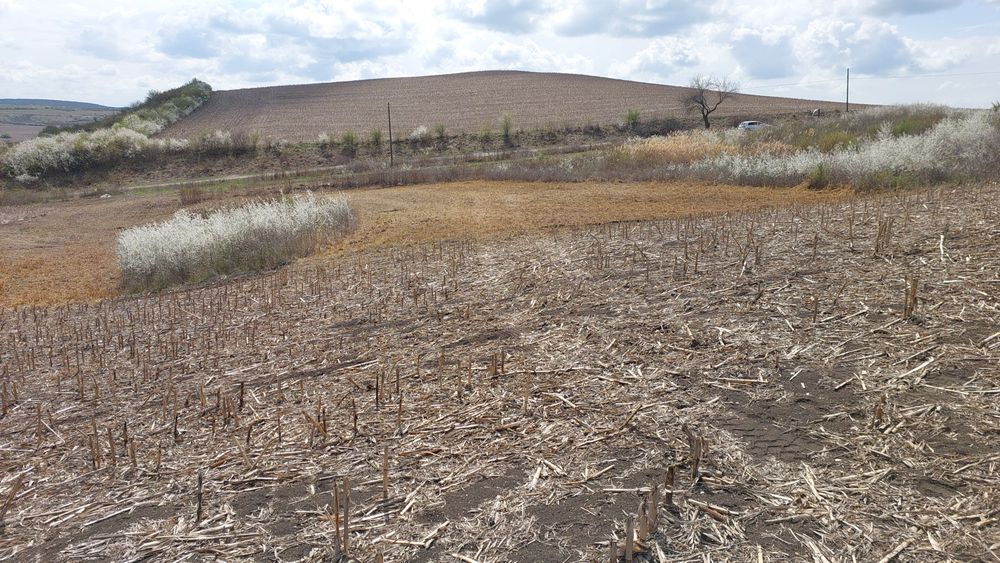 Curatare pasuni,terenuri,defrisare