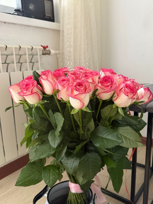Цветы солымаган бүгін ғана алынған гүл