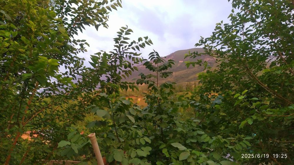 Чарвак дача без маклера не далеко от водохранилище чарвака
