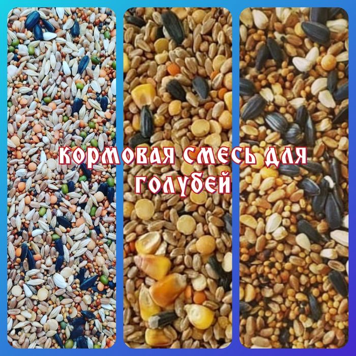 Зерновые культуры korma