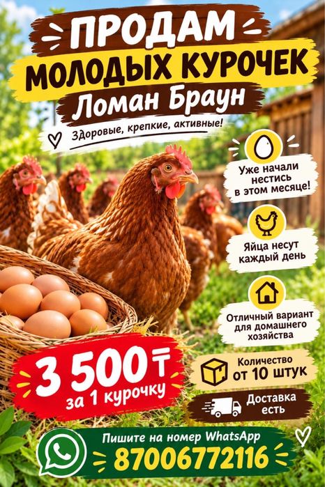 Курица ломан браун