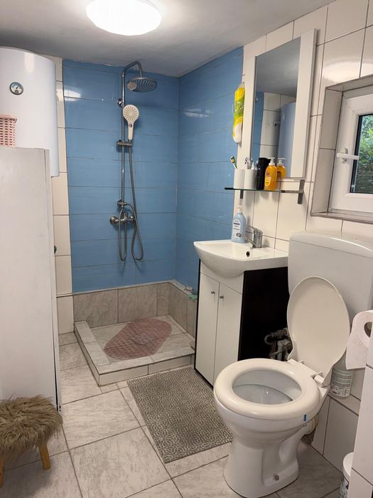 Casă de vacanță + 10.800 mp teren | 2 case | Sat Coasta, Comuna Golești, Vâlcea