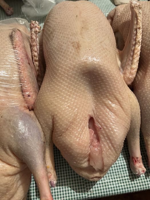 Продам мясо гуся домашнее