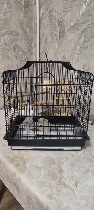 Продам клетку для мелких и средних попугаев.