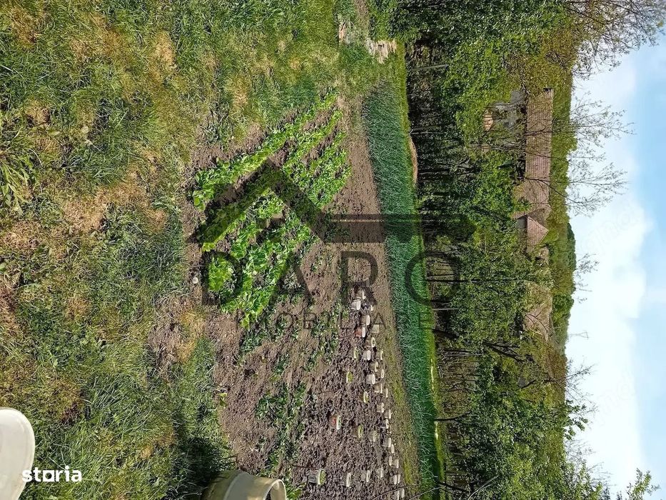Casa de vinzare