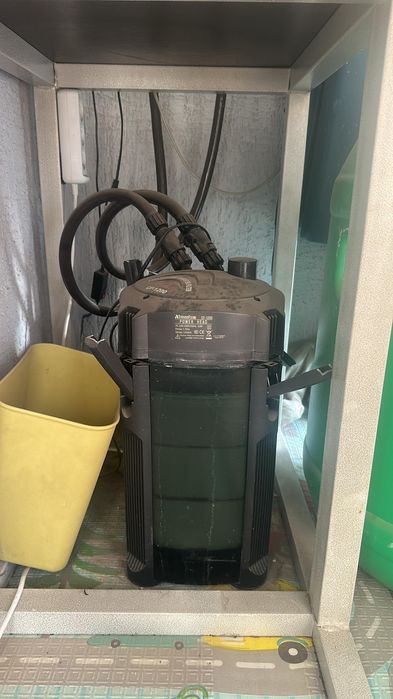 Аквариум срочнооо