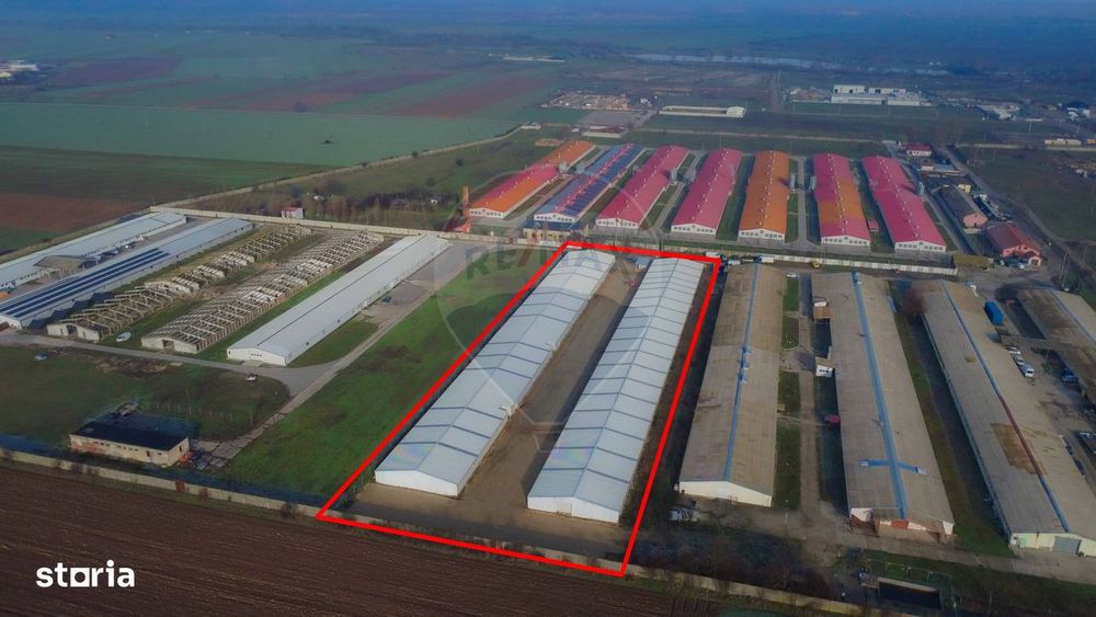 De închiriat -2 hale industriale, 5.050 mp utili, Palota , acces TIR