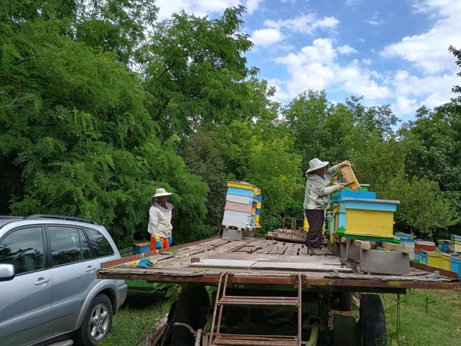 Пчелен мед София