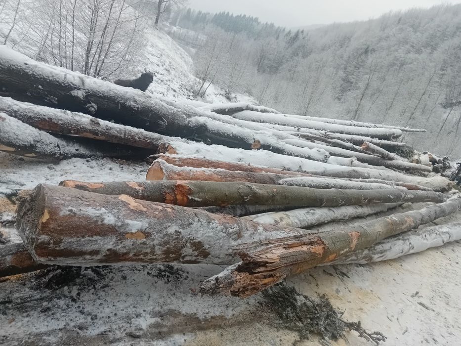 Depozit lemn de foc Nehoiu