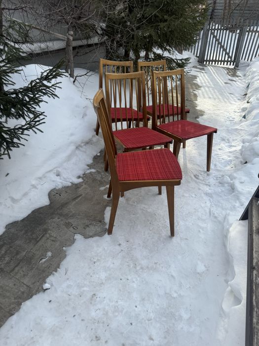 Стулья венские, Польша