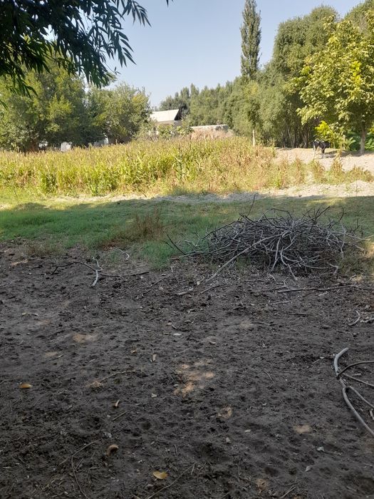 23 sõtix uy qura bõladi suv svet gaz bor