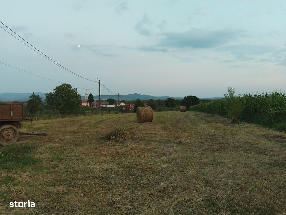 Teren intravilan de vanzare
