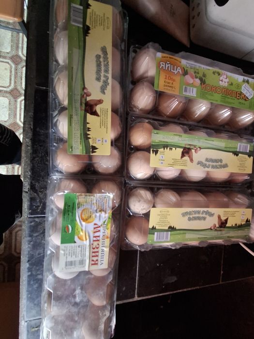 Продавам домашни яйца !