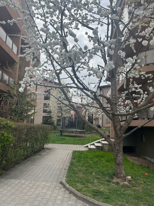2 camere de închiriat Mănăștur Cluj – 58 mp +  2 balcoane (14 m)semimobilat - 380€ ușor negociabil