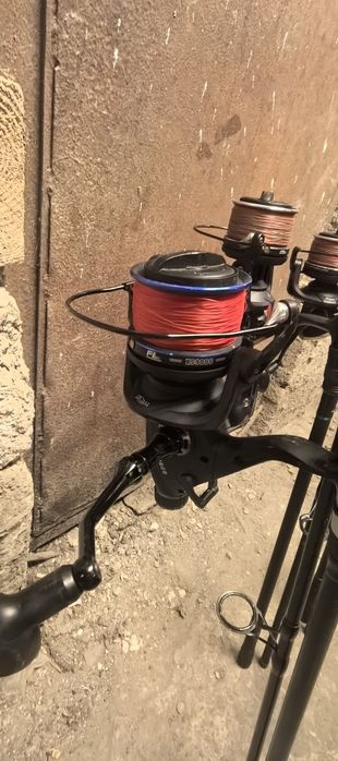 Bete crap + mulinete