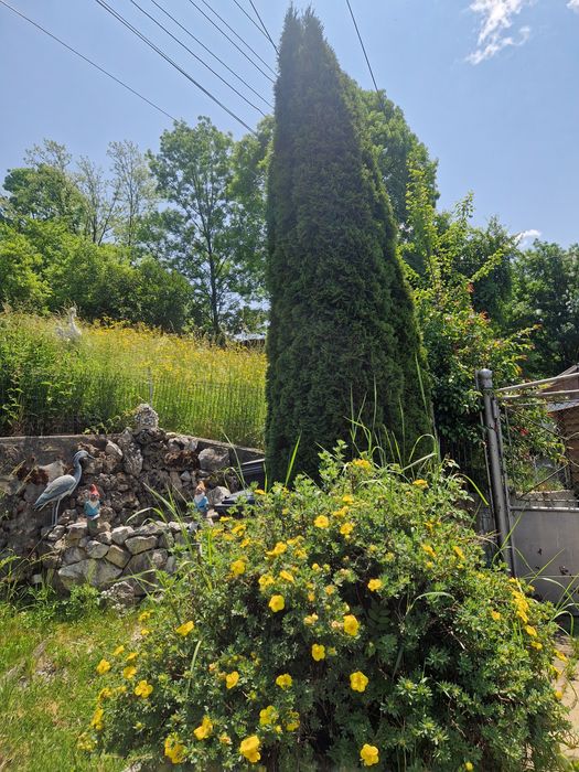 Casă de vânzare, oraș Abrud, Județul Alba