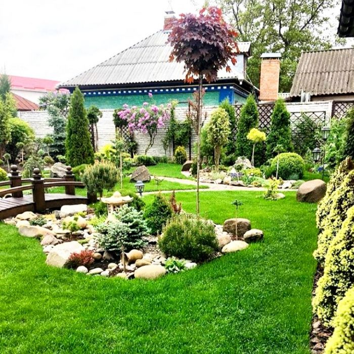 Рулонный газон и семена. Газон экамиз 1-кунда