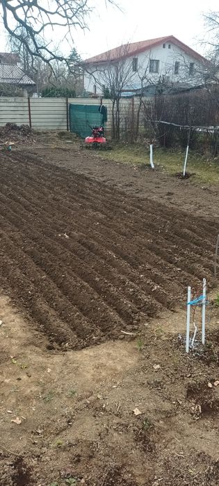 Servicii complete de grădinărit