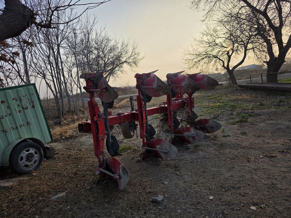 Polsha unia 3+1 plug