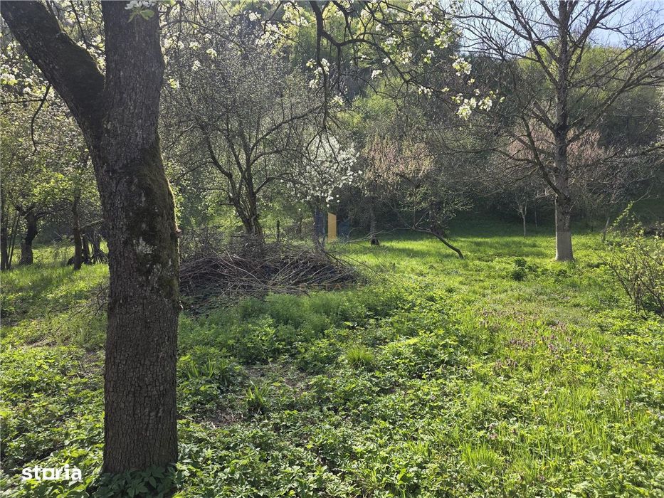 Casa cu teren generos in zona turistica Nadrag Timis