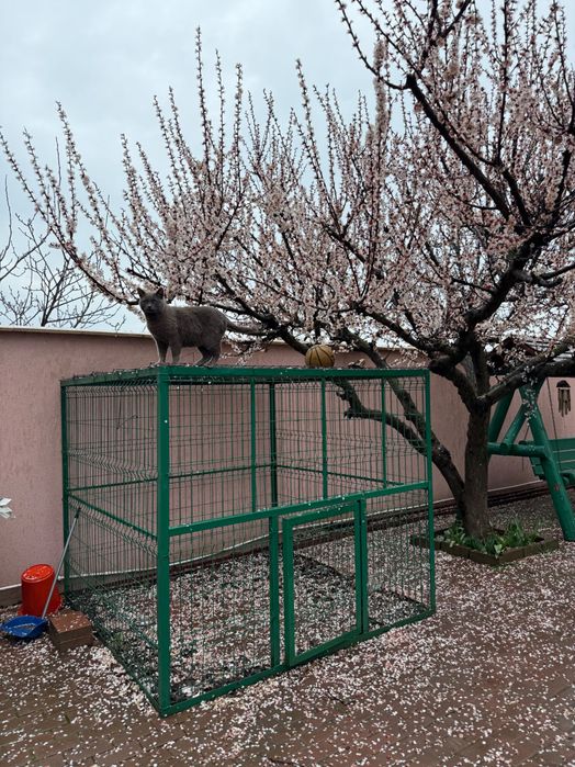Padoc pentru animale din țeavă metalică galvanizată (zincată) (2x2x1.9m, L x l x h)