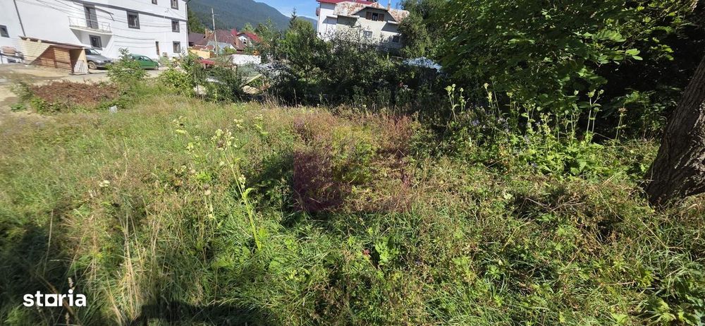 Teren intravilan 288 mp de vanzare in Busteni