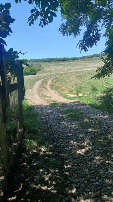 Vand casa in sat Feldioara jud.Cluj
