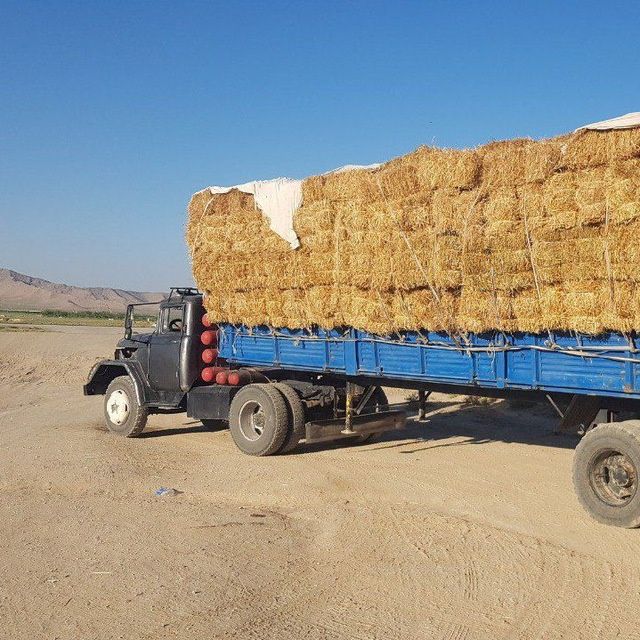 Zil shalanda sirochni sotiladi