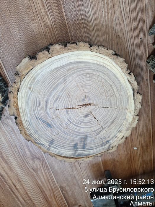 Продам слебы и спилы