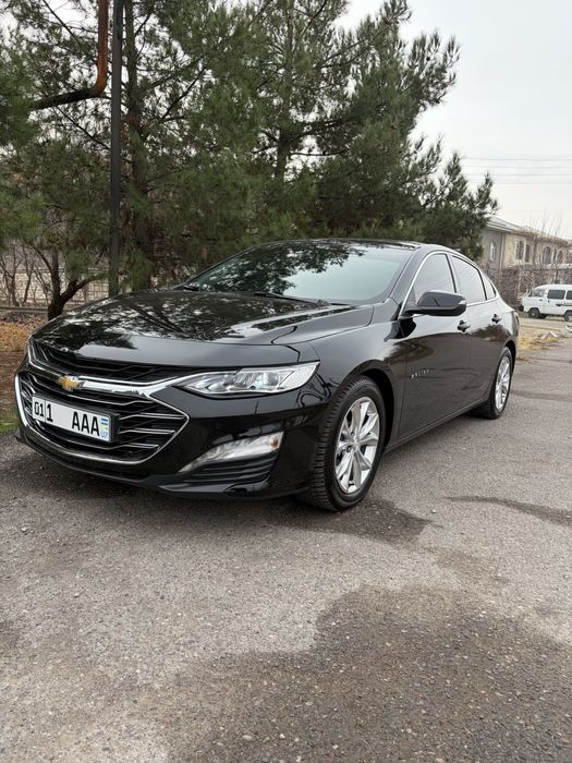 Malibu 2 Premier /2022